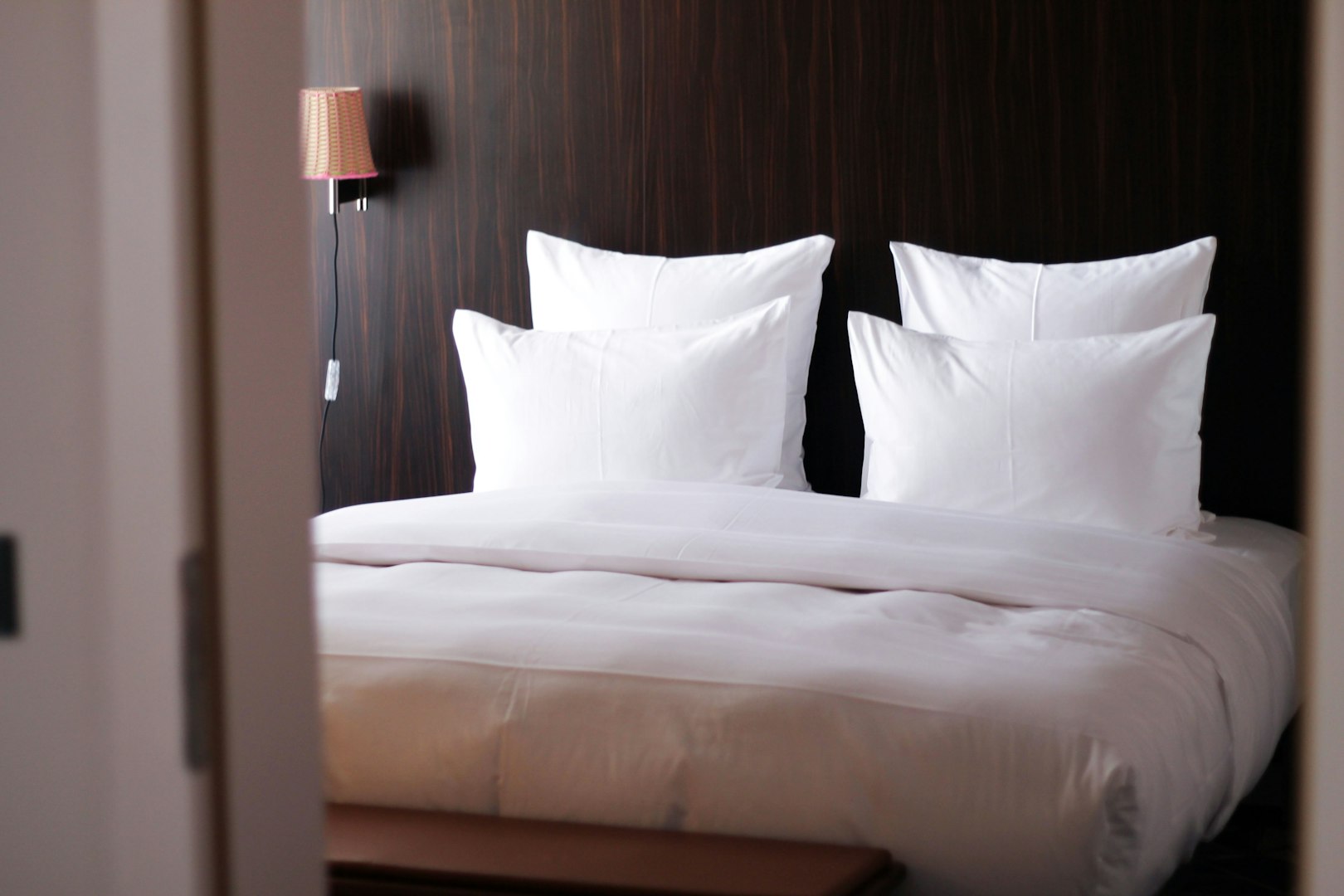 hamvay lang goose down pillow